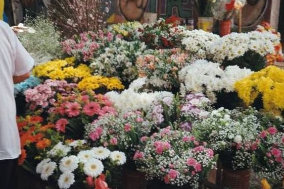 Orangebonusde rechtlich