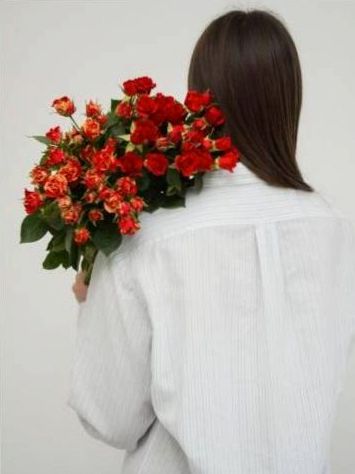 Rosen Nahaufnahme