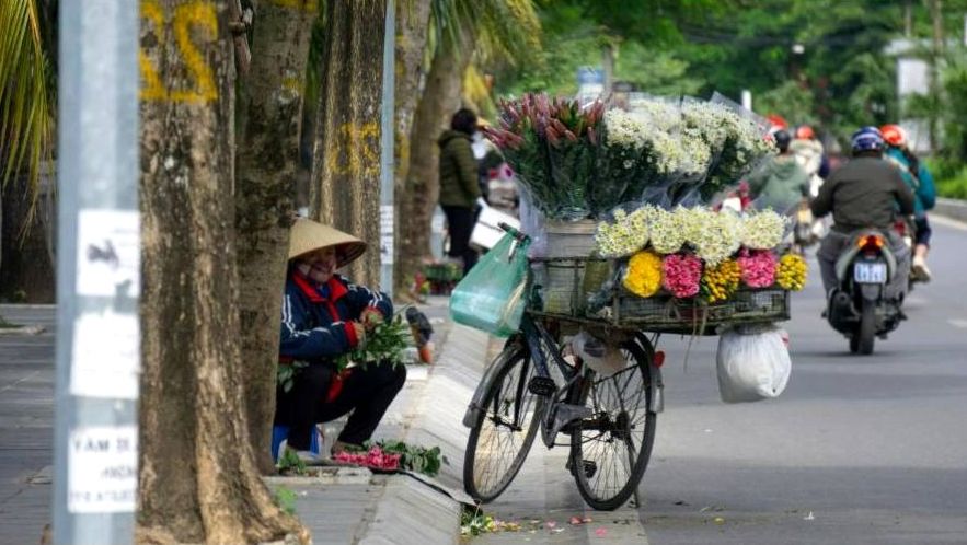 Florist arrangiert einheimische Blumen