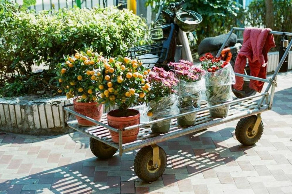 Lockerer Gartenrosenstrauß