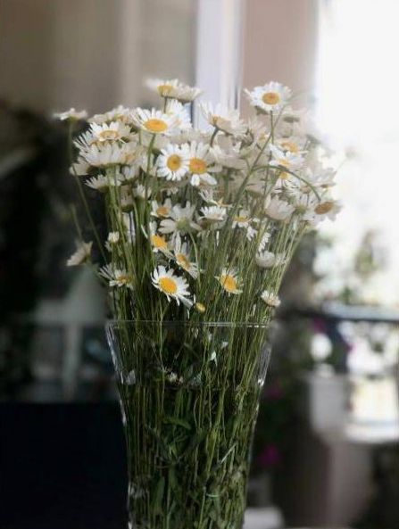 Firmenflorale Installation