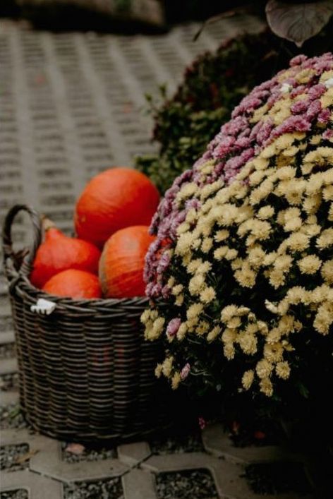 Klassischer Dutzend roter Rosen